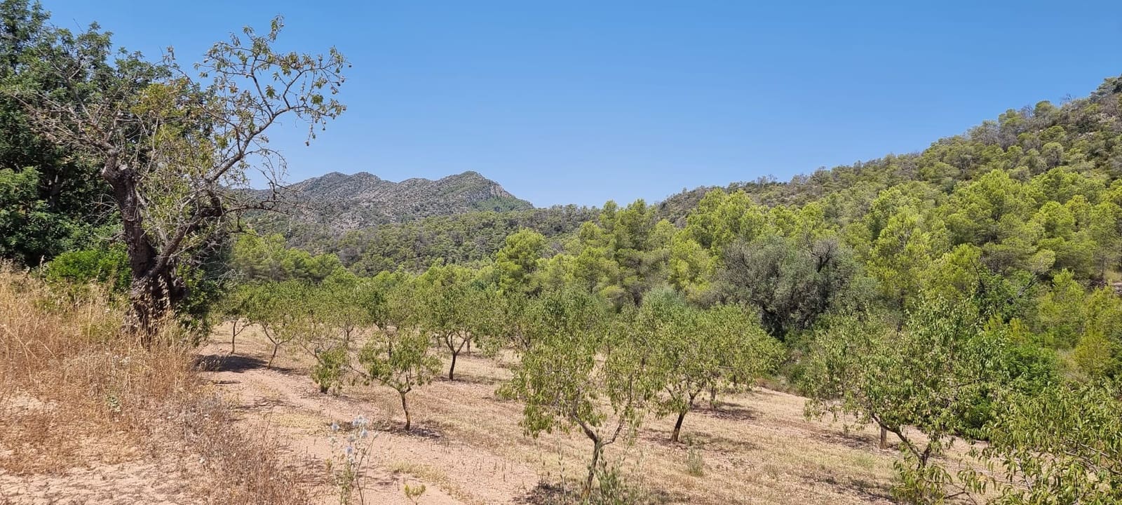 Finca/Country House for sale in Miravet - € 46,000 (Ref: 9958889)
