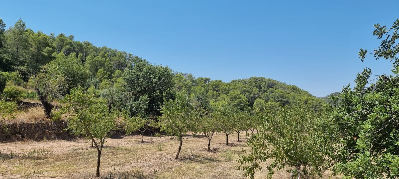 Finca/Country House for sale in Miravet - € 46,000 (Ref: 9958889)