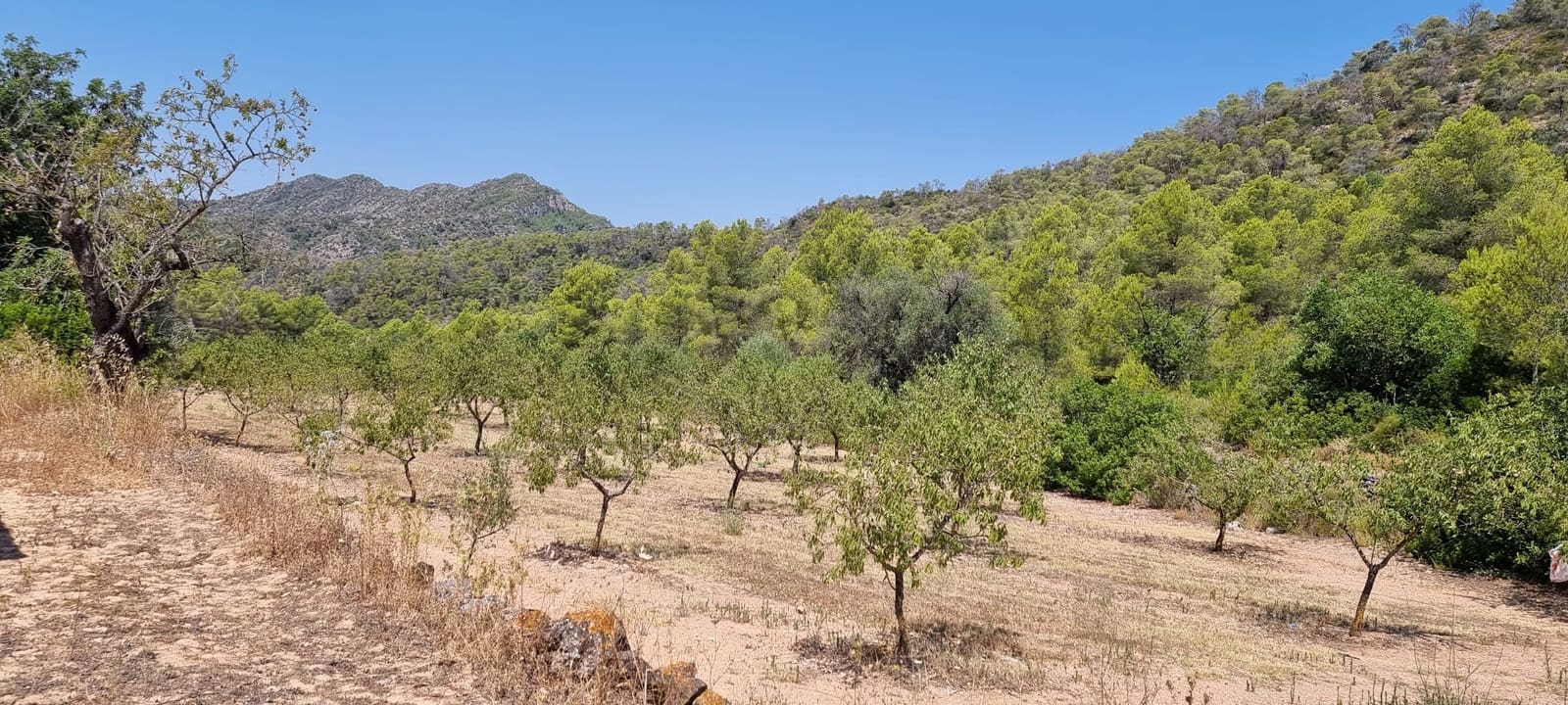 Finca/Country House for sale in Miravet - € 46,000 (Ref: 9958889)