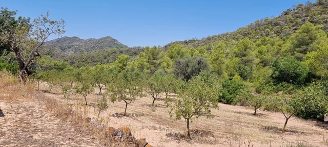 Quinta/Casa Rural para venda em Miravet - 46 000 € (Ref: 9958889)