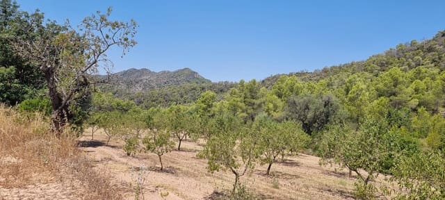 Quinta/Casa Rural para venda em Miravet - 46 000 € (Ref: 9958889)