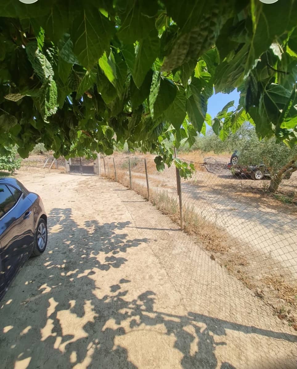 1 bedroom Finca/Country House for sale in Riba-roja d'Ebre - € 48,000 (Ref: 9986232)