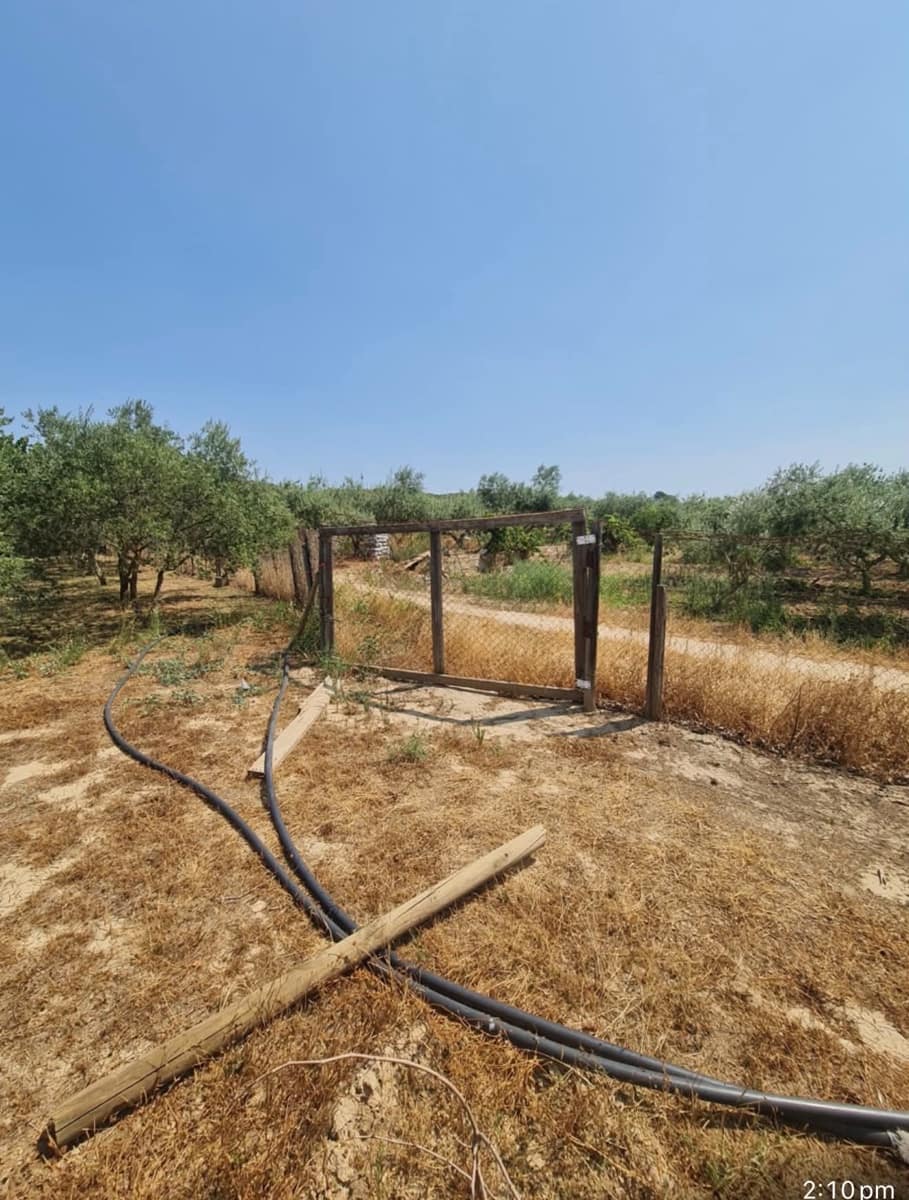 1 bedroom Finca/Country House for sale in Riba-roja d'Ebre - € 48,000 (Ref: 9986232)