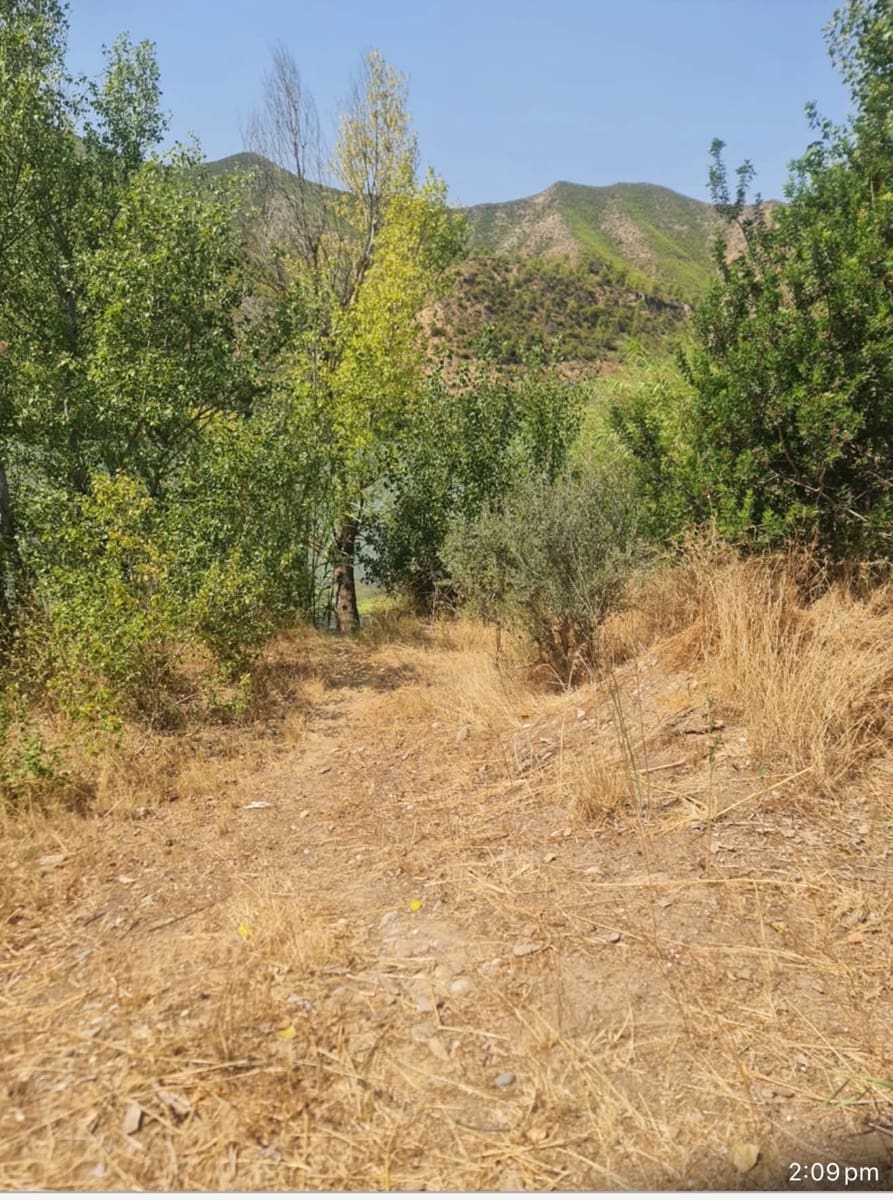 1 bedroom Finca/Country House for sale in Riba-roja d'Ebre - € 48,000 (Ref: 9986232)