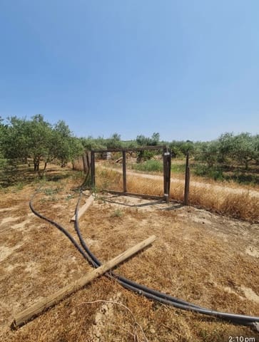 1 sypialnia Finka/Dom wiejski na sprzedaż w Riba-roja d'Ebre - 48 000 € (Ref: 9986232)