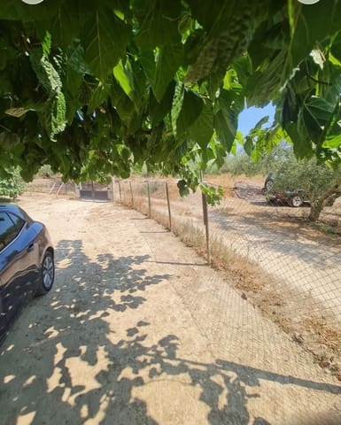 1 sypialnia Finka/Dom wiejski na sprzedaż w Riba-roja d'Ebre - 48 000 € (Ref: 9986232)