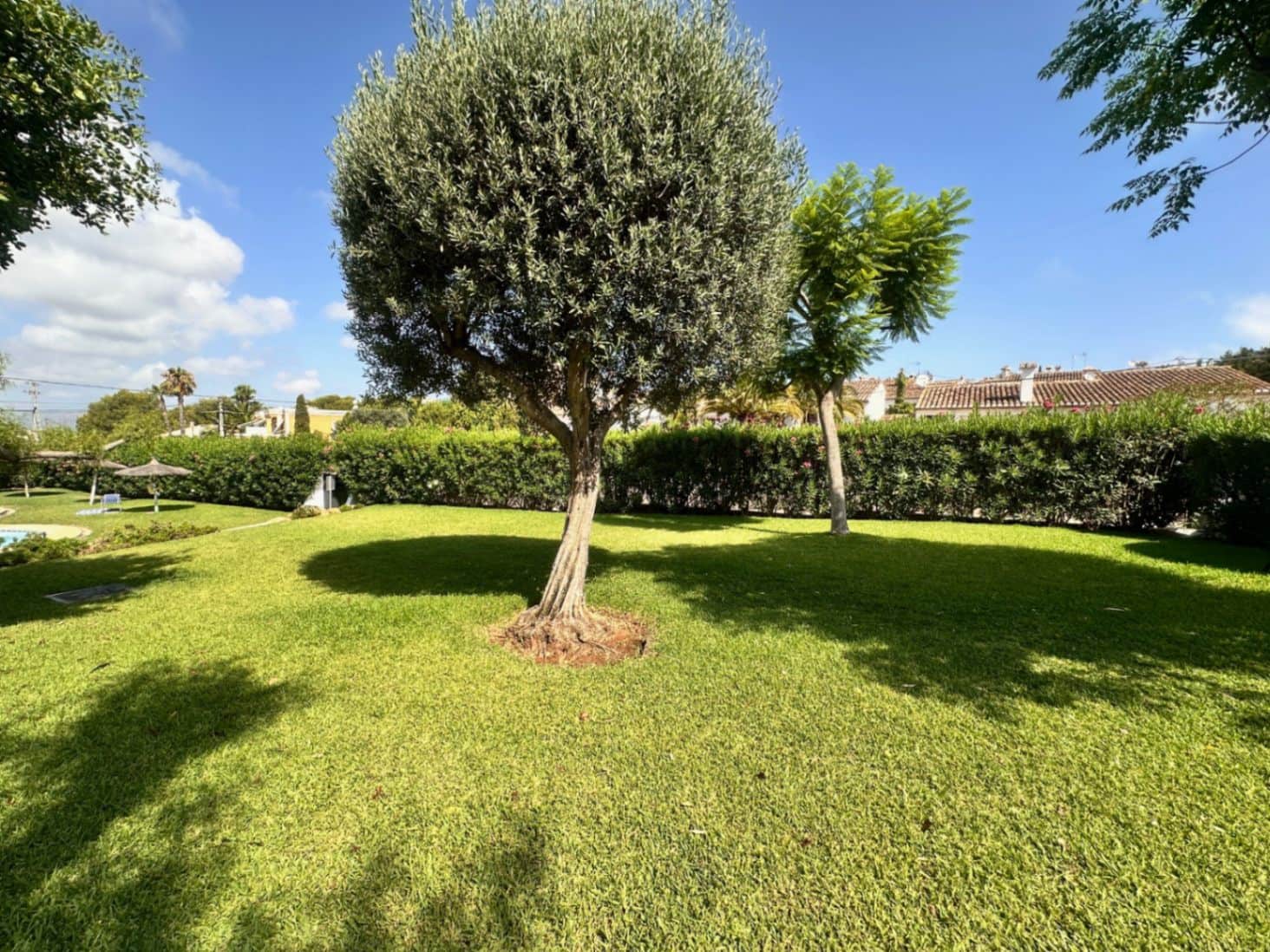 1 soverom Leilighet til salgs i Denia med svømmebasseng - € 175 000 (Ref: 9310295)