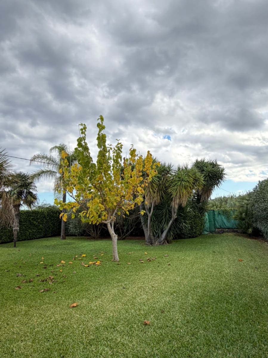 5 camera da letto Villa da affittare in Denia con piscina garage - 3.000 € (Rif: 9413248)