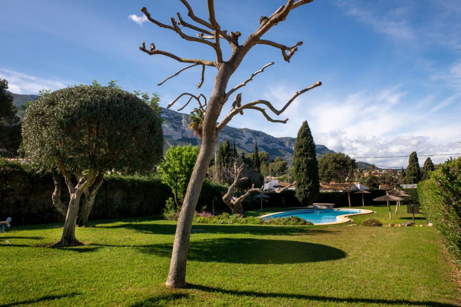 Adosado de 5 habitaciones en Dénia en venta con piscina - 440.000 € (Ref: 9483176)