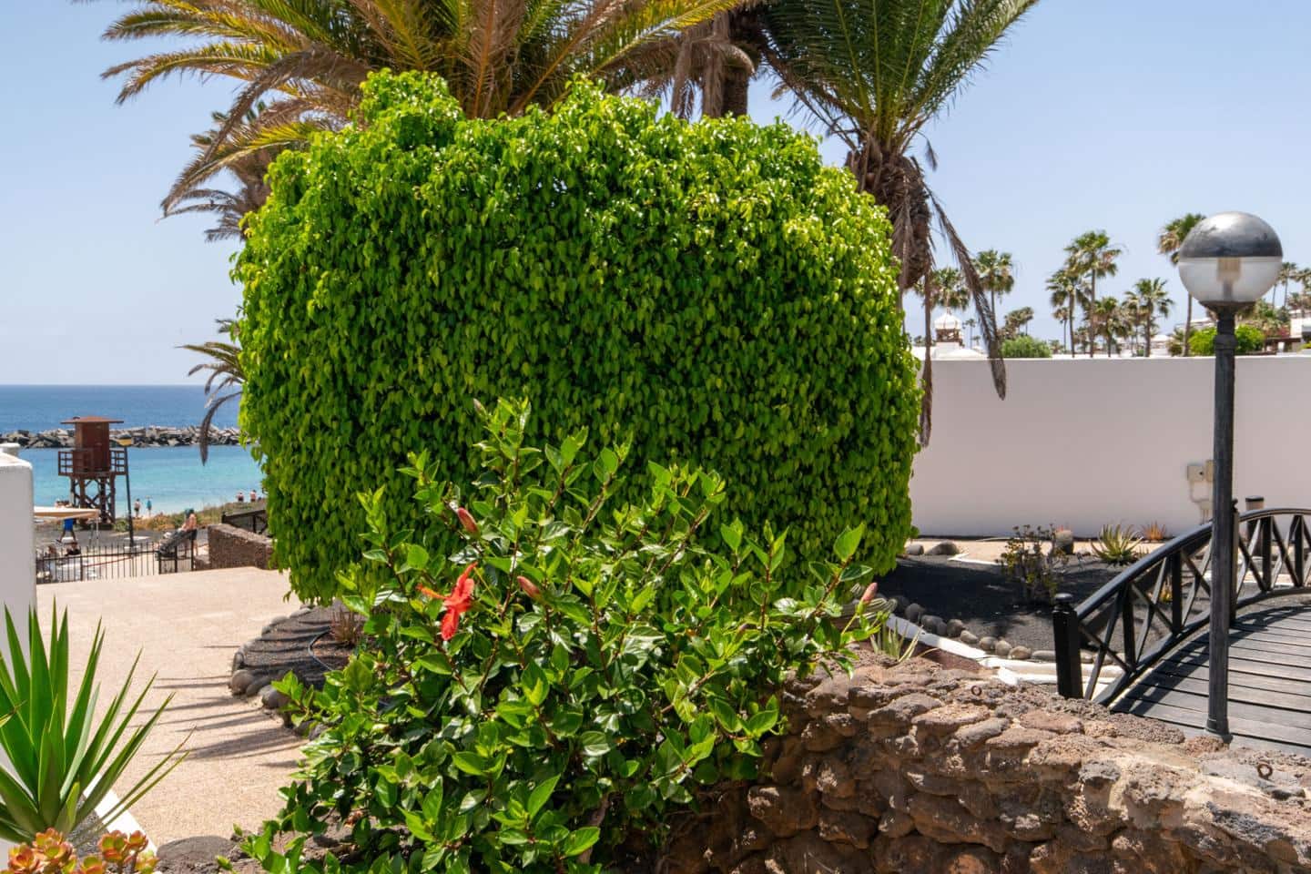 1 makuuhuone Huvila myytävänä paikassa Playa Blanca - 392 000 € (Ref: 9879801)