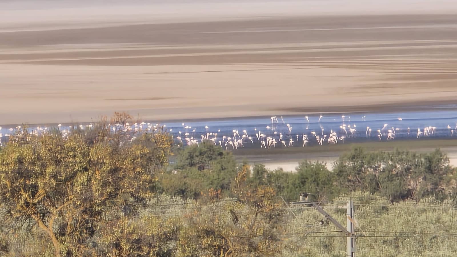 2 bedroom Mobile Home for sale in Mollina - € 80,201 (Ref: 9372076)