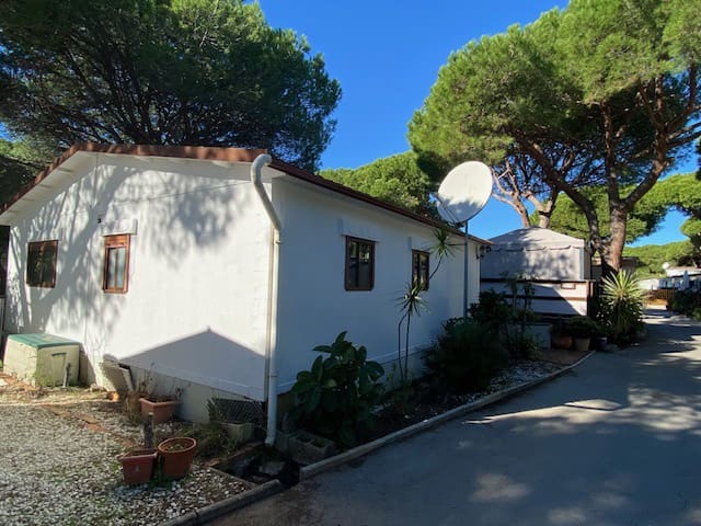 3 sypialnia Domek mobilny na sprzedaż w Cabopino z basenem garażem - 96 795 € (Ref: 9409742)