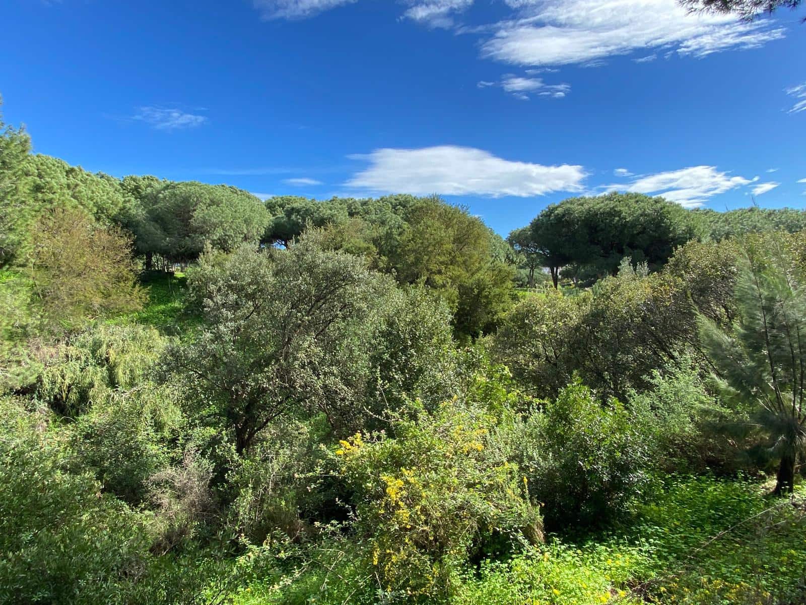 2 slaapkamer Stacaravan te koop in Cabopino met zwembad - € 85.053 (Ref: 9584523)