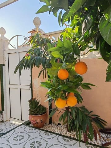 3 quarto Apartamento para venda em Los Altos com piscina - 185 000 € (Ref: 9112273)