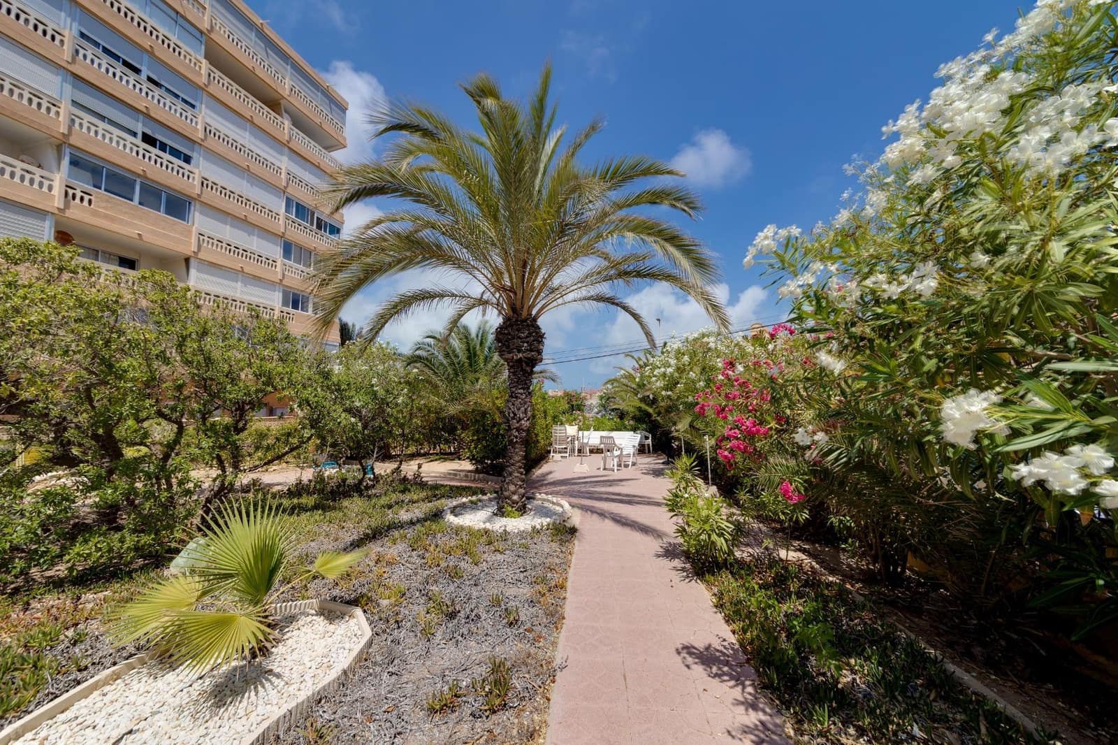 1 Zimmer Apartment zu verkaufen in La Mata - 129.900 € (Ref: 9465616)