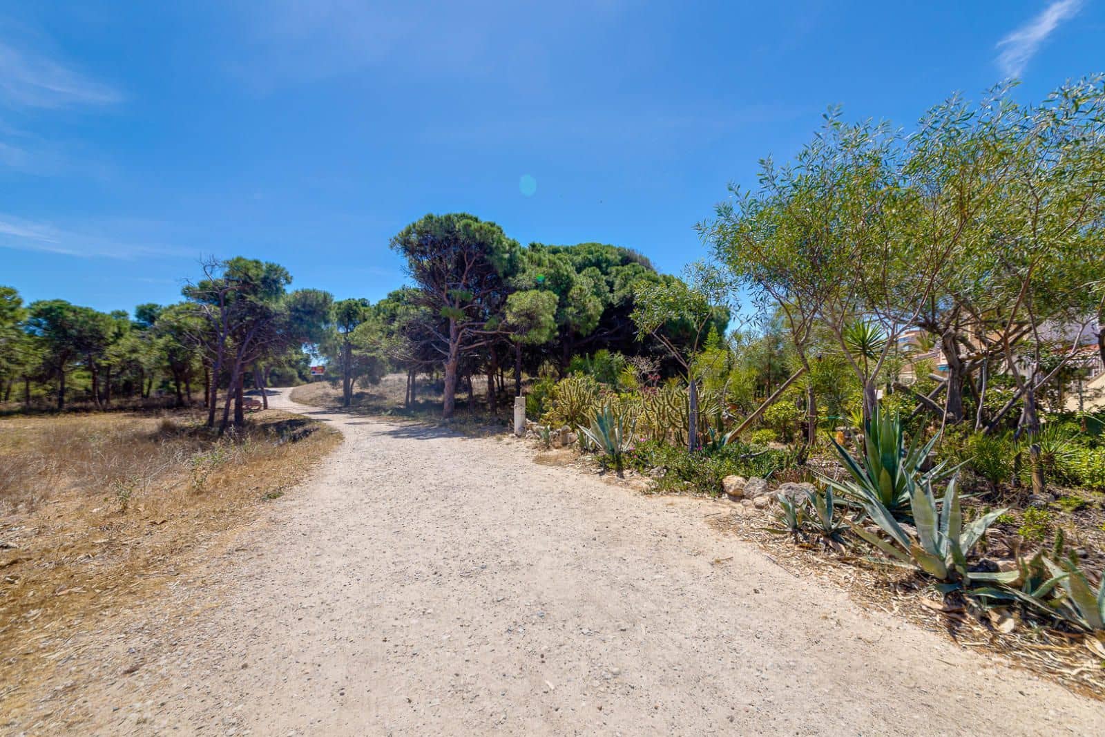 2 sovrum Lägenhet till salu i Guardamar del Segura - 155 000 € (Ref: 9494582)