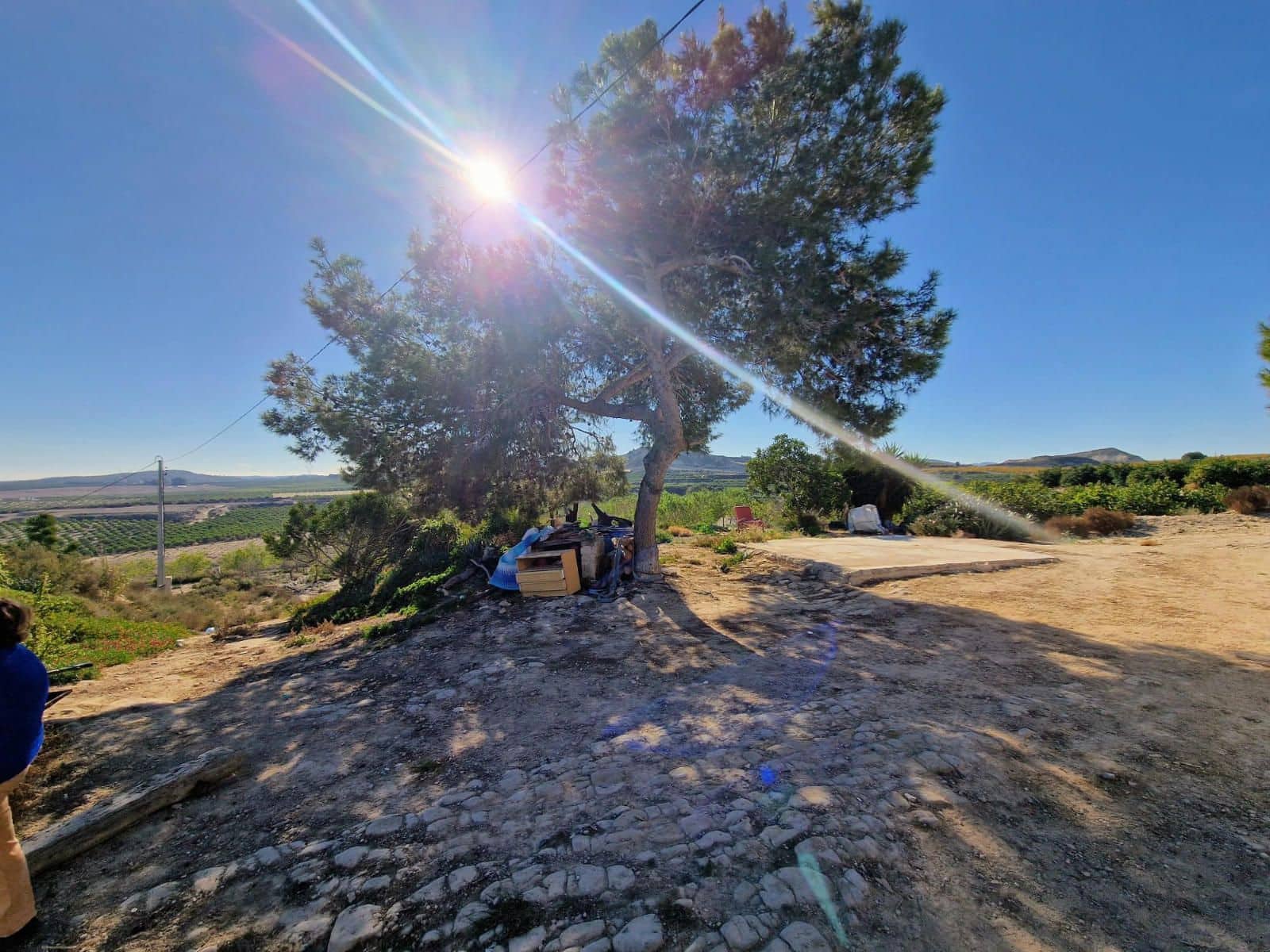 Finca/Casa Rural de 2 habitaciones en Orihuela en venta - 279.969 € (Ref: 9494594)