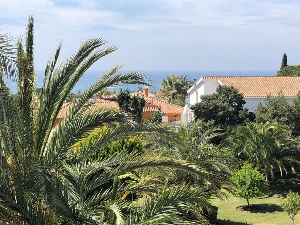 Studio for rent in Marbesa with pool - € 850 (Ref: 9721088)