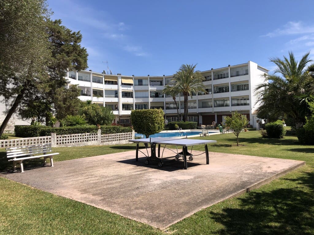 Studio for rent in Marbesa with pool - € 850 (Ref: 9721088)