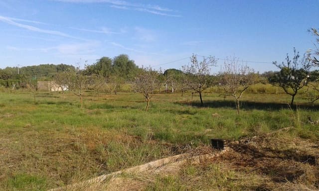 Tontti myytävänä paikassa Pedreguer - 249 000 € (Ref: 4981417)