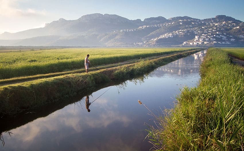 Byggegrund til salg i Monte Pego - € 85.000 (Ref: 8690222)