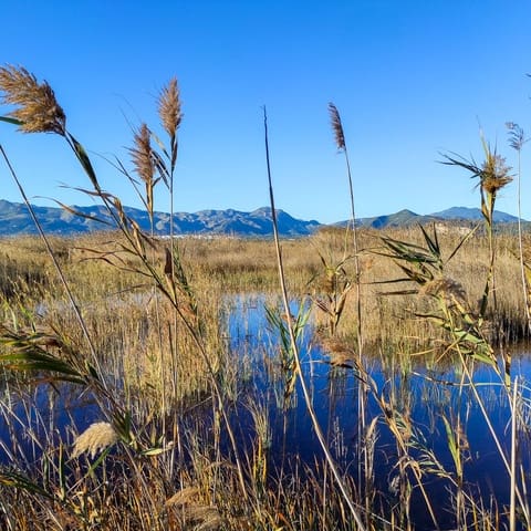 Bouwgrond te koop in Monte Pego, Pego - € 85.000 (Ref: 8690222)