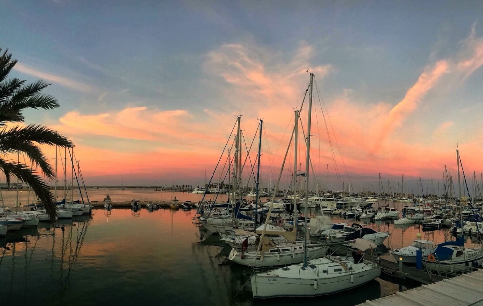 3 chambre Villa/Maison à vendre à Monte Pego avec piscine garage - 645 000 € (Ref: 9287471)