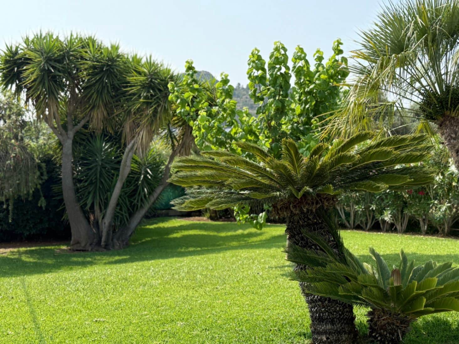 5 sypialnia Finka/Dom wiejski na sprzedaż w Denia z basenem garażem - 985 000 € (Ref: 9337330)