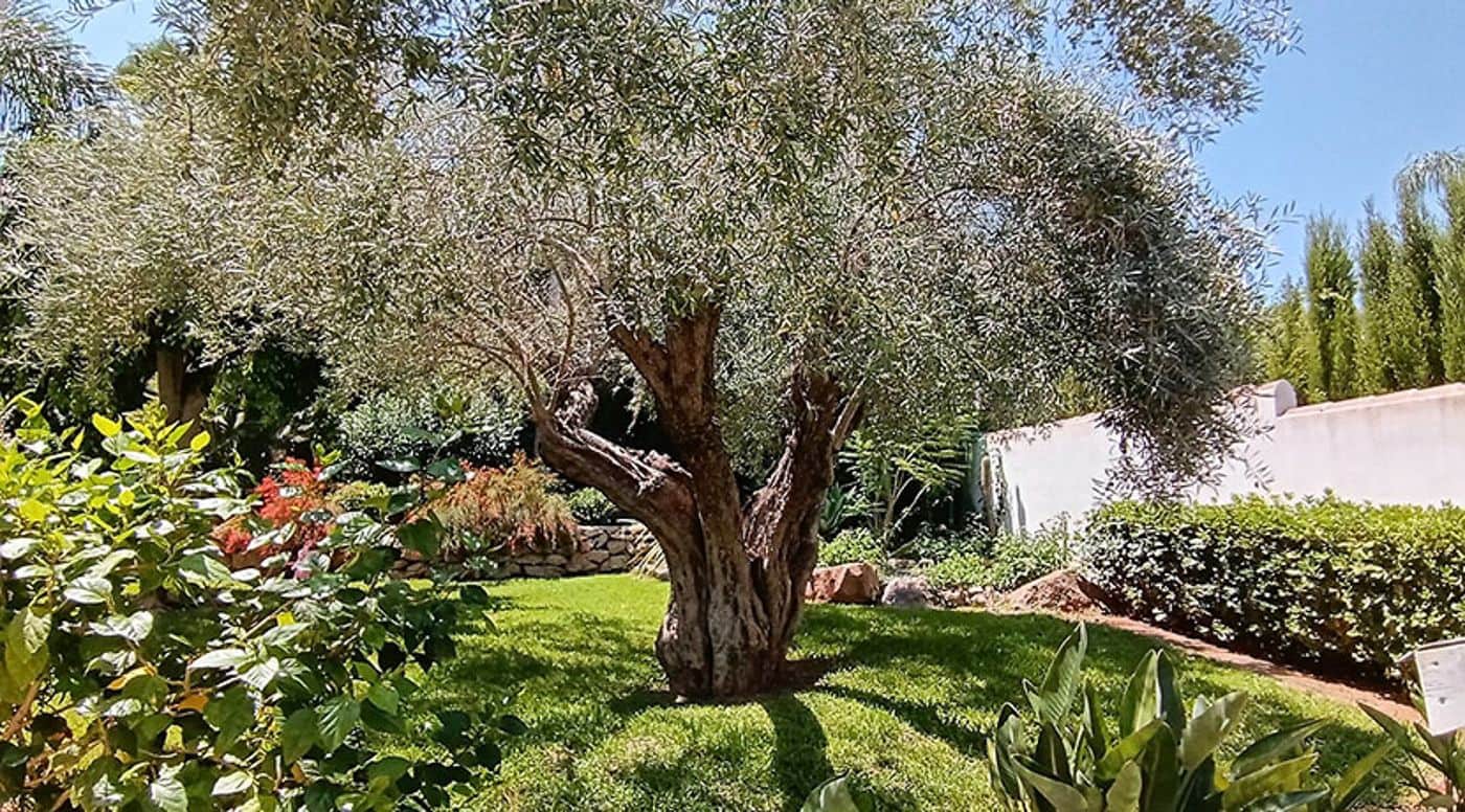 5 makuuhuone Huvila myytävänä paikassa Pedreguer mukana uima-altaan 
autotalli - 960 000 € (Ref: 9410345)