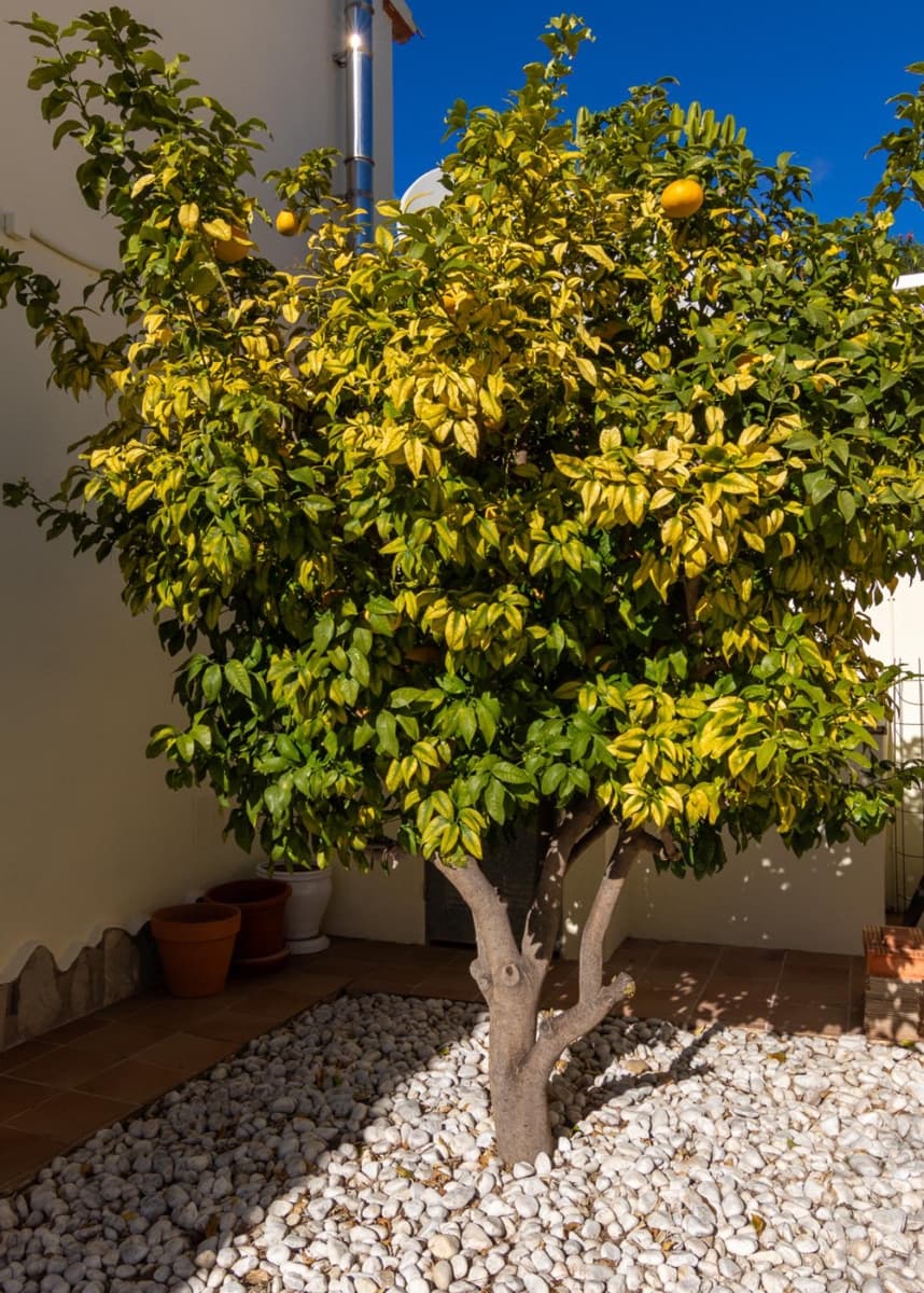 3 bedroom Villa for sale in Parcent with pool garage - € 345,000 (Ref: 9424203)