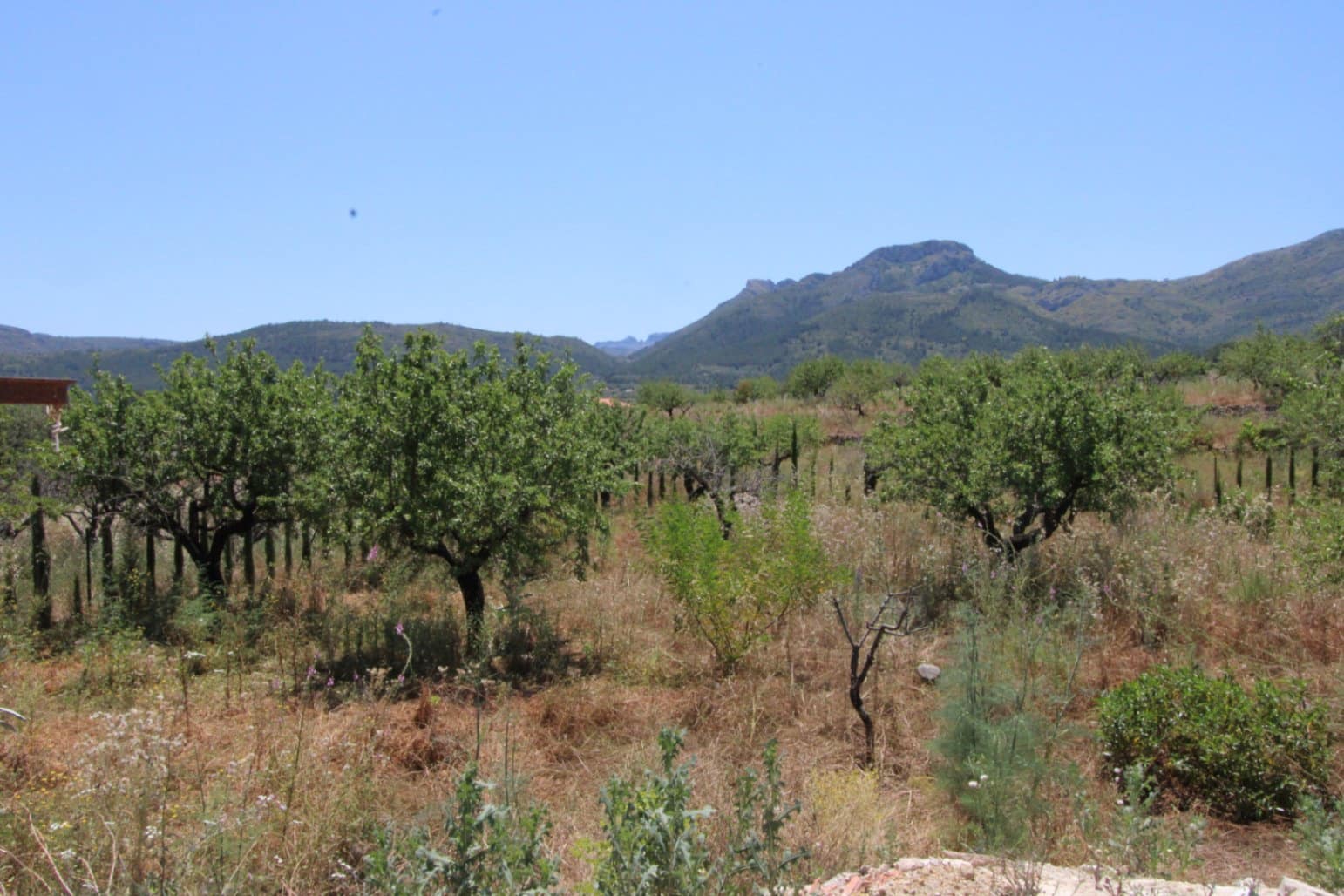 4 quarto Moradia para venda em Alcalali / Alcanali com garagem - 695 000 € (Ref: 9471619)