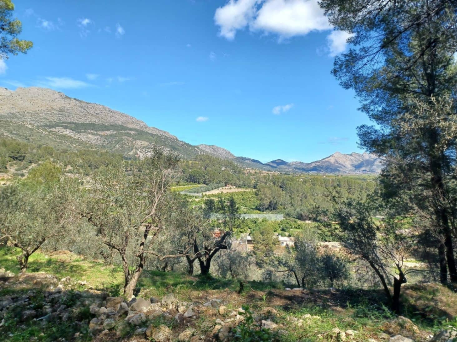 3 soveværelse Villa til salg i Orba med swimmingpool - € 560.000 (Ref: 9542810)