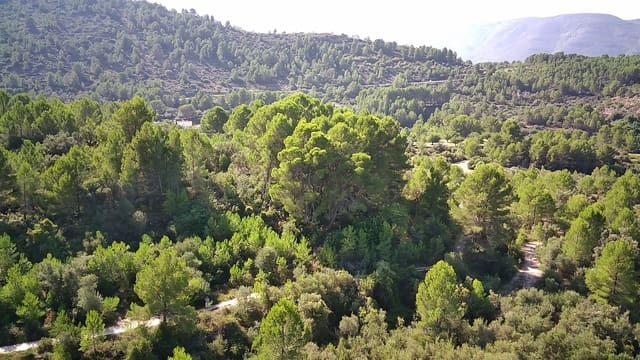 Bauplatz zu verkaufen in Orba - 130.000 € (Ref: 9542826)