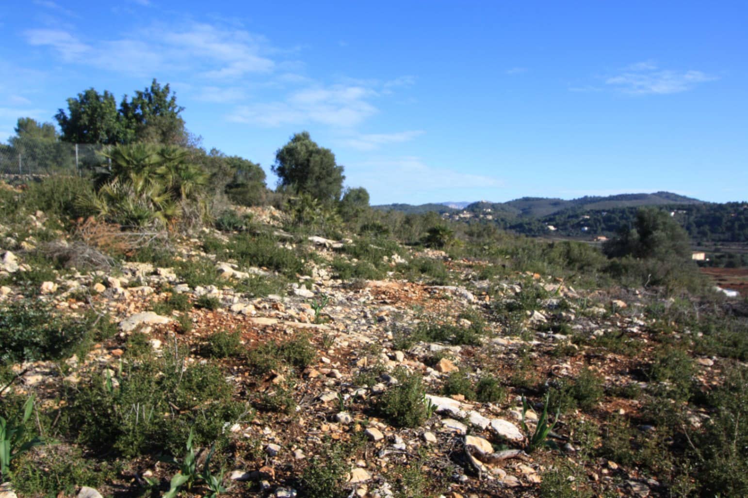 Bauplatz zu verkaufen in Lliber - 145.000 € (Ref: 9542829)