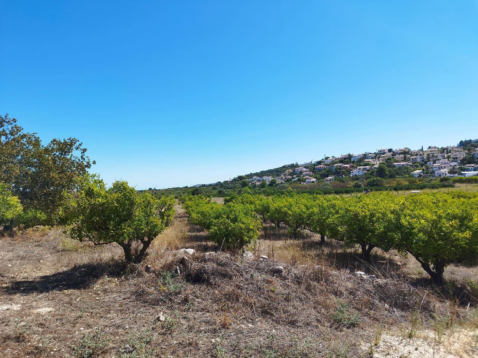 Bouwgrond te koop in Orba - € 100.000 (Ref: 9547306)