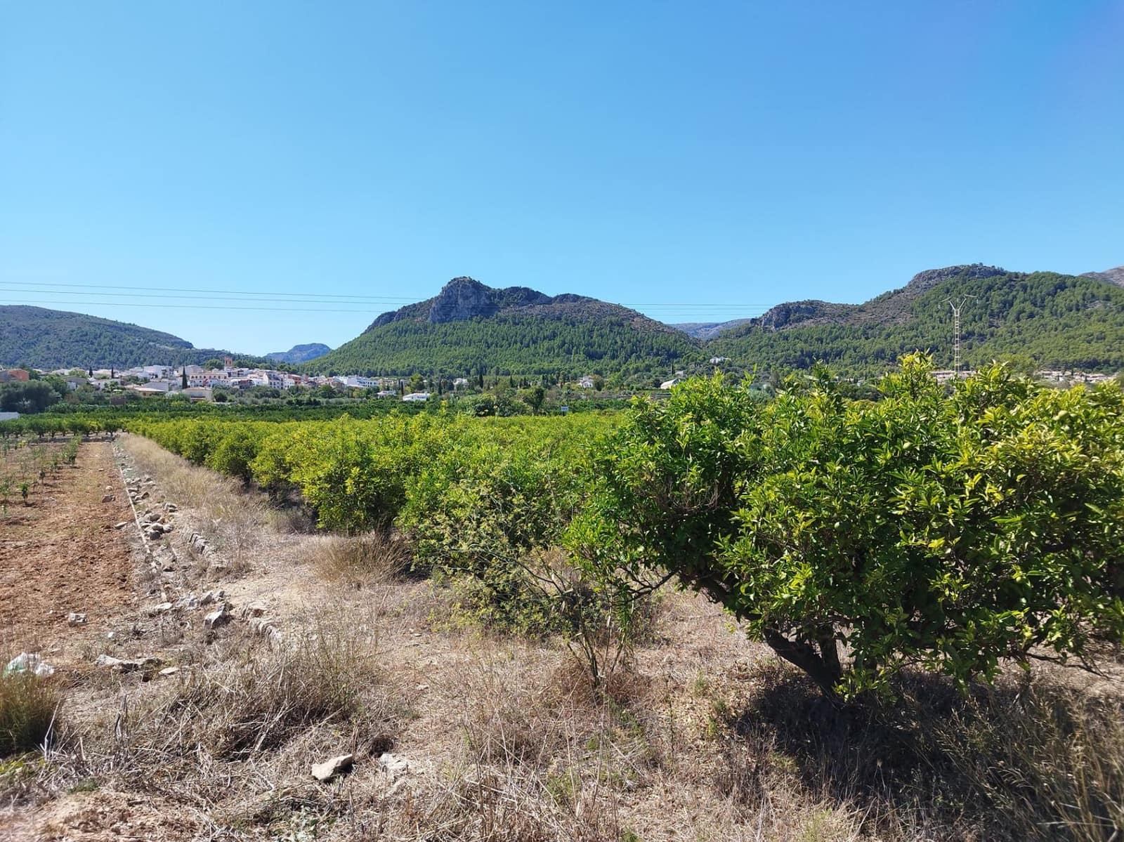 Bouwgrond te koop in Orba - € 100.000 (Ref: 9547306)