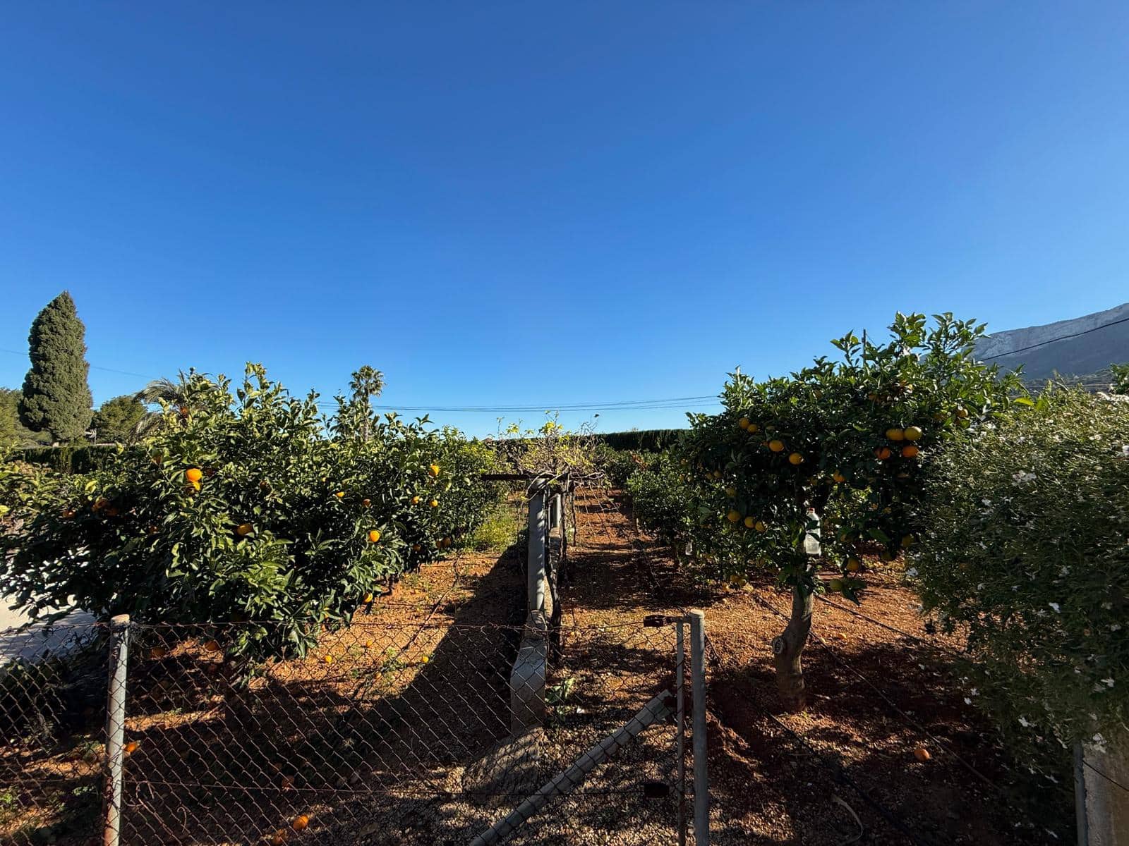 6 soveværelse Finca/Landehus til salg i Denia med swimmingpool garage - € 950.000 (Ref: 9659800)