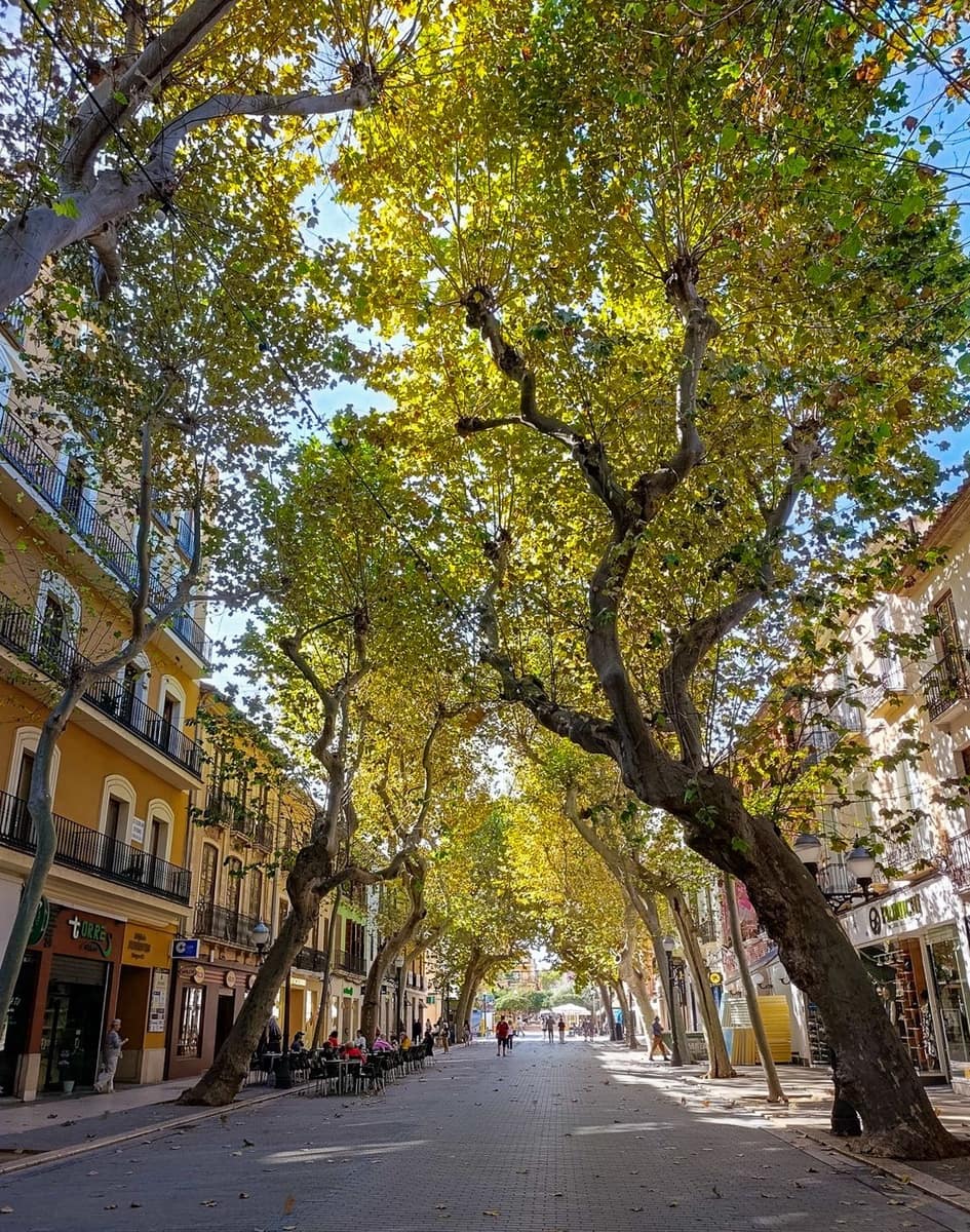 3 slaapkamer Appartement te koop in Denia - € 210.000 (Ref: 9715382)