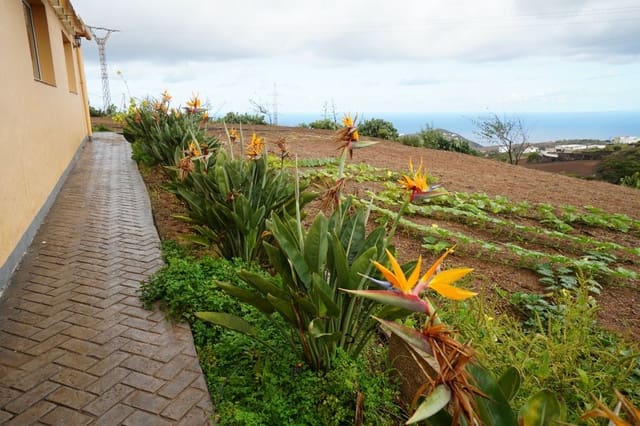 3 makuuhuone Maalaistalo vuokrattavana paikassa Santa María de Guía de Gran Canaria - 750 € (Ref: 7356704)