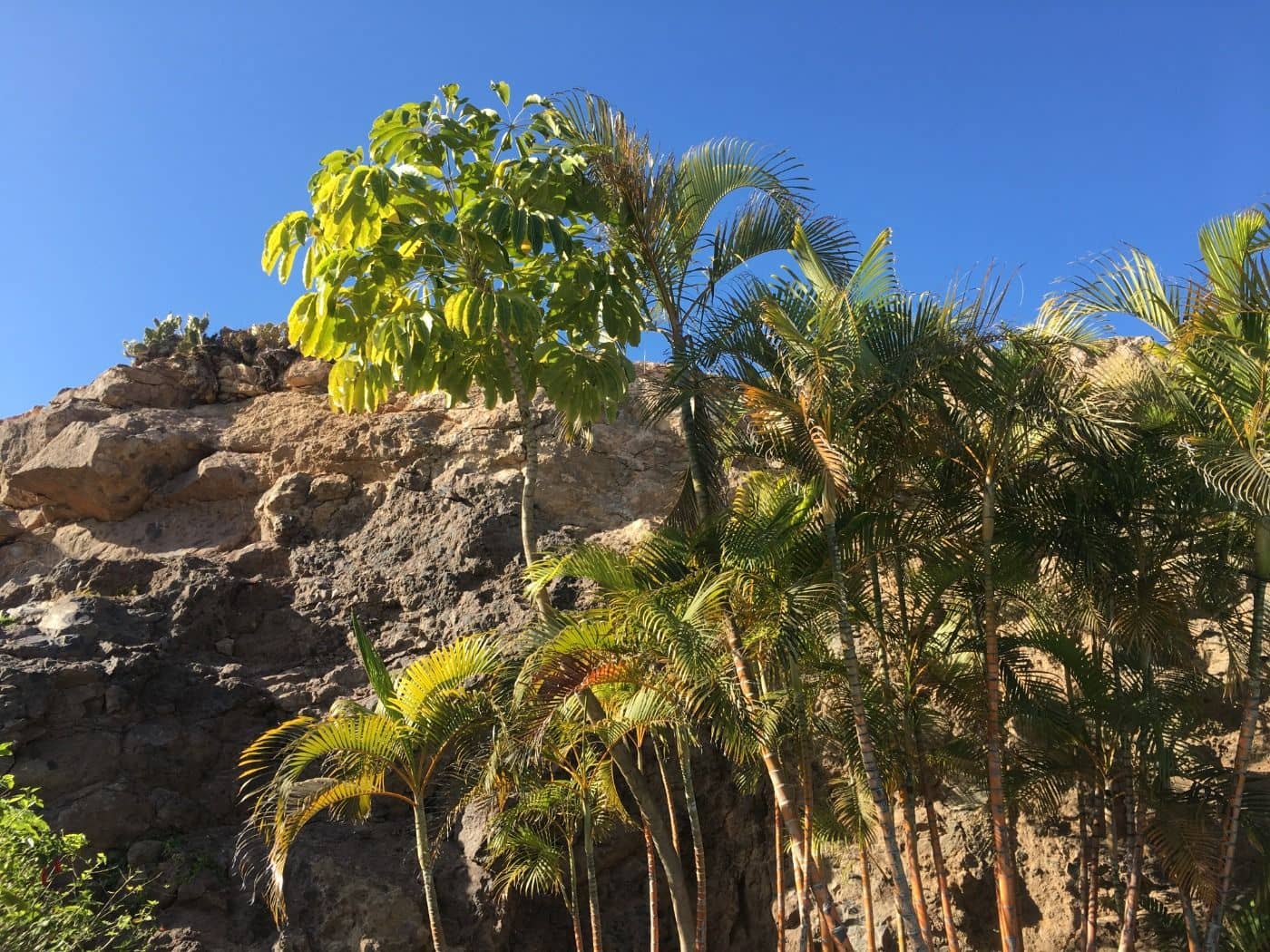 4 slaapkamer Villa te koop in Salobre Golf met zwembad garage - € 2.041.000 (Ref: 7365292)