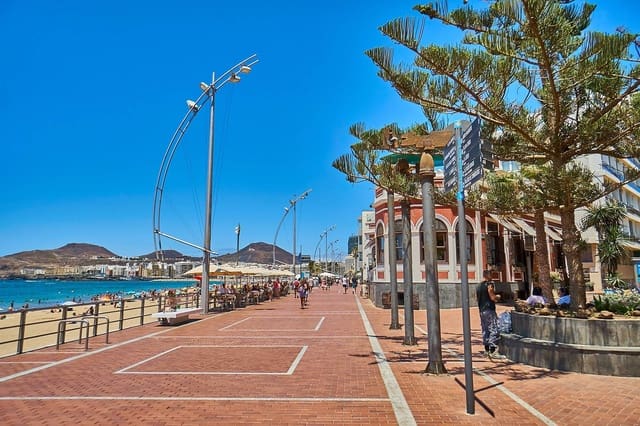 Gewerbe zu vermieten in Santa Catalina - Canteras, Las Palmas de Gran Canaria - 2.500 € (Ref: 7732123)
