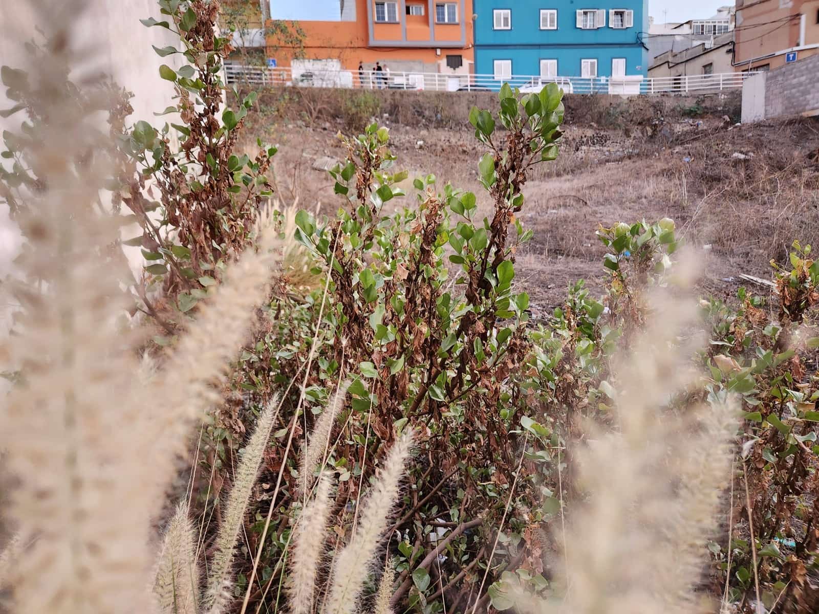 Byggegrund til salg i Las Palmas de Gran Canaria - € 238.000 (Ref: 7865472)