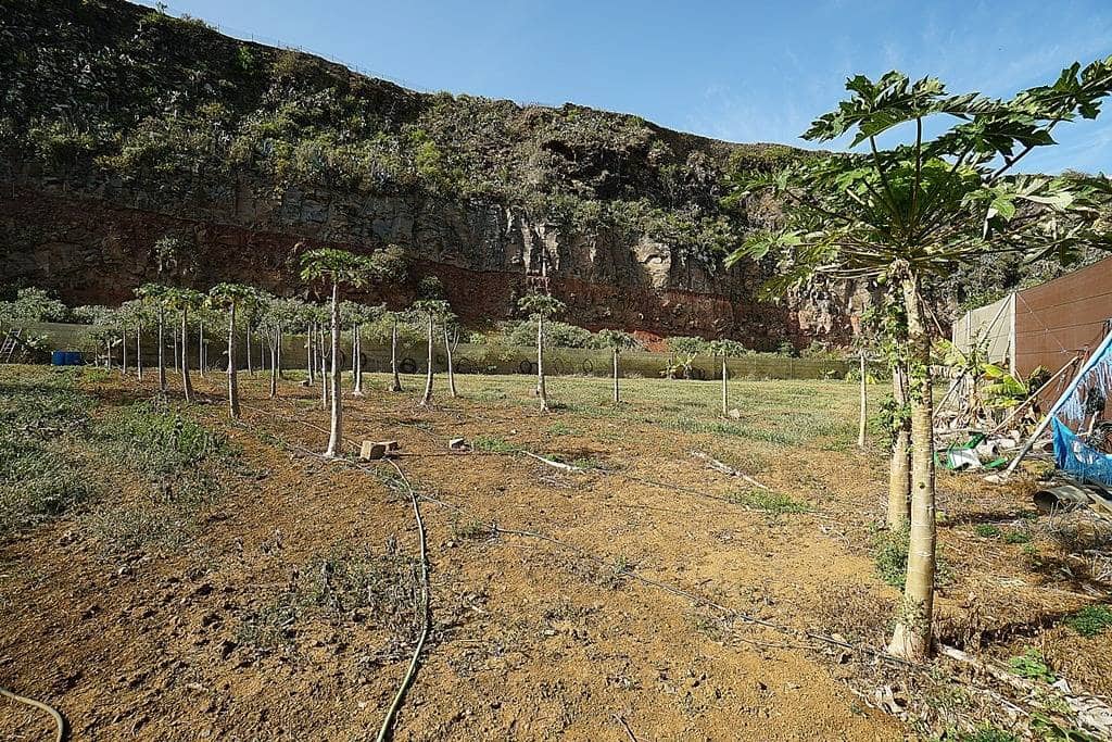 2 soveværelse Finca/Landehus til salg i Santa Maria de Guia de Gran Canaria med garage - € 320.000 (Ref: 8099813)