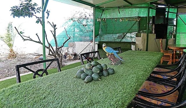 2 soverom Finca/Herregård til salgs i Santa María de Guía de Gran Canaria med garasje - € 320 000 (Ref: 8099813)