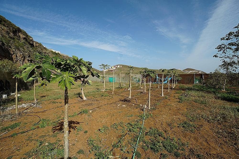 2 soveværelse Finca/Landehus til salg i Santa Maria de Guia de Gran Canaria med garage - € 320.000 (Ref: 8099813)