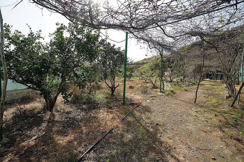 2 soveværelse Finca/Landehus til salg i Santa Maria de Guia de Gran Canaria med garage - € 320.000 (Ref: 8099813)