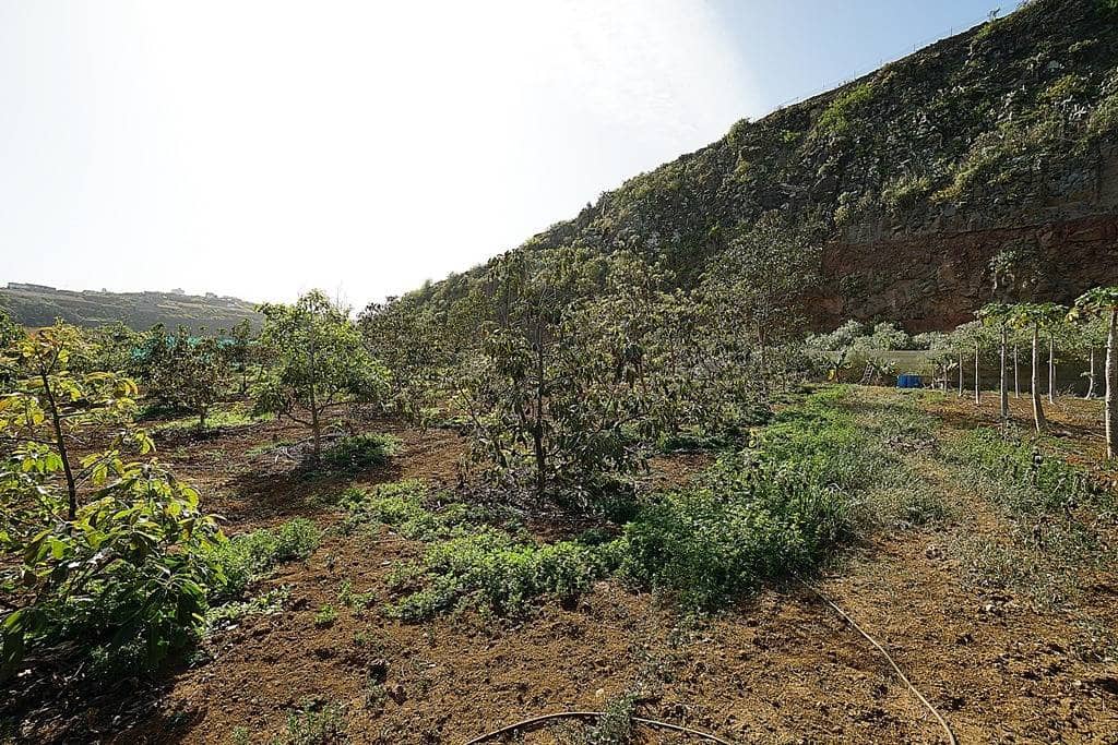 2 soveværelse Finca/Landehus til salg i Santa Maria de Guia de Gran Canaria med garage - € 320.000 (Ref: 8099813)