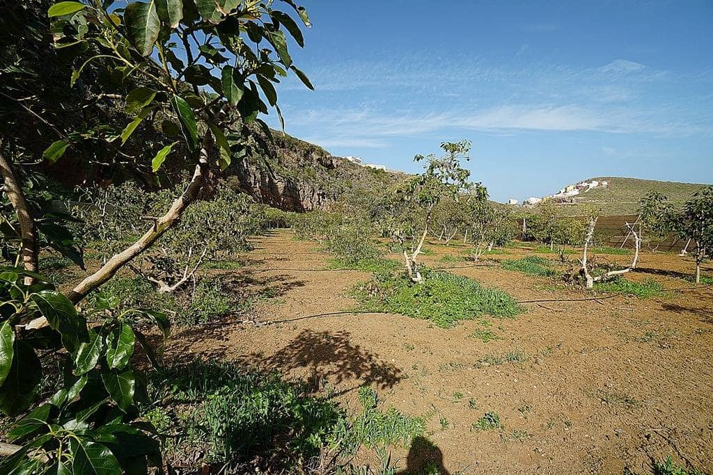 2 soveværelse Finca/Landehus til salg i Santa Maria de Guia de Gran Canaria med garage - € 320.000 (Ref: 8099813)
