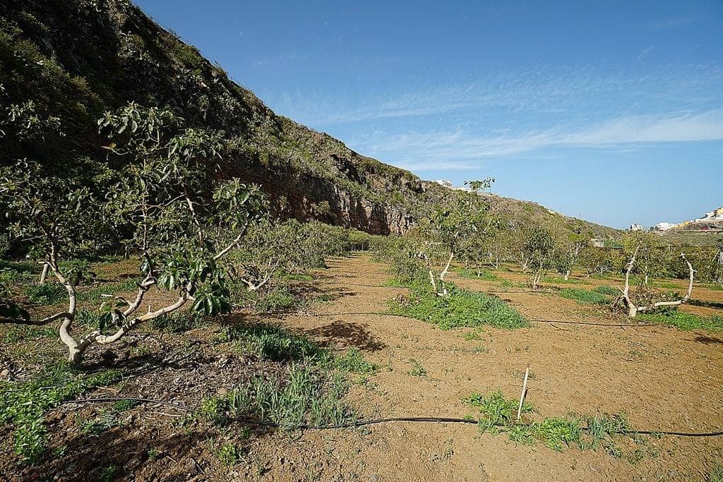 2 soveværelse Finca/Landehus til salg i Santa Maria de Guia de Gran Canaria med garage - € 320.000 (Ref: 8099813)