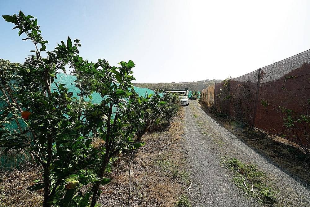 2 soveværelse Finca/Landehus til salg i Santa Maria de Guia de Gran Canaria med garage - € 320.000 (Ref: 8099813)